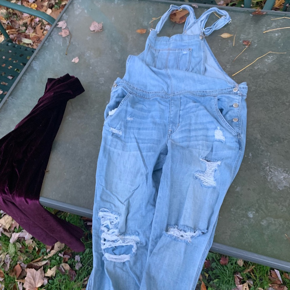 American Eagle Boyfriend Fit Destructed Overalls